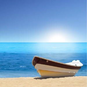 frcc嫩白的1516性HD
